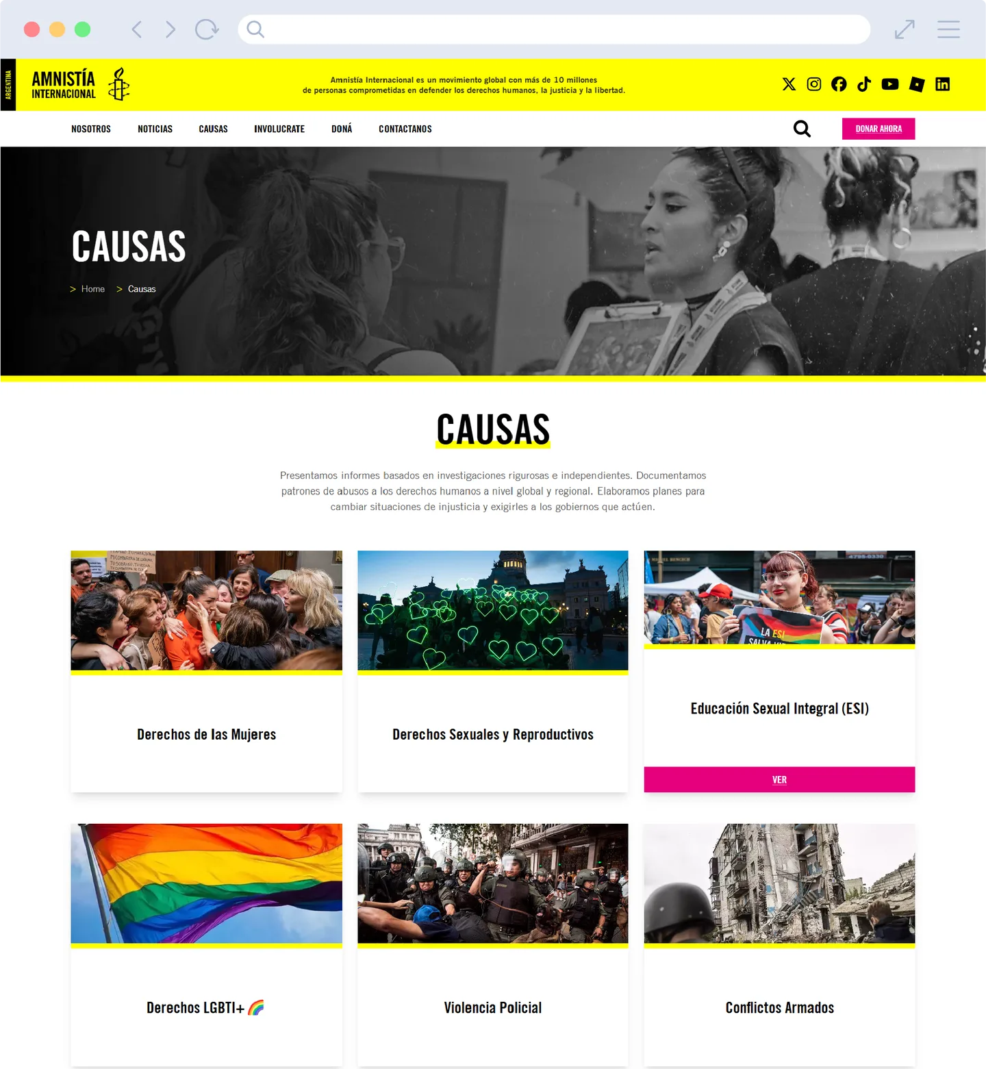 Página de causas con las campañas activas de Amnistía Internacional