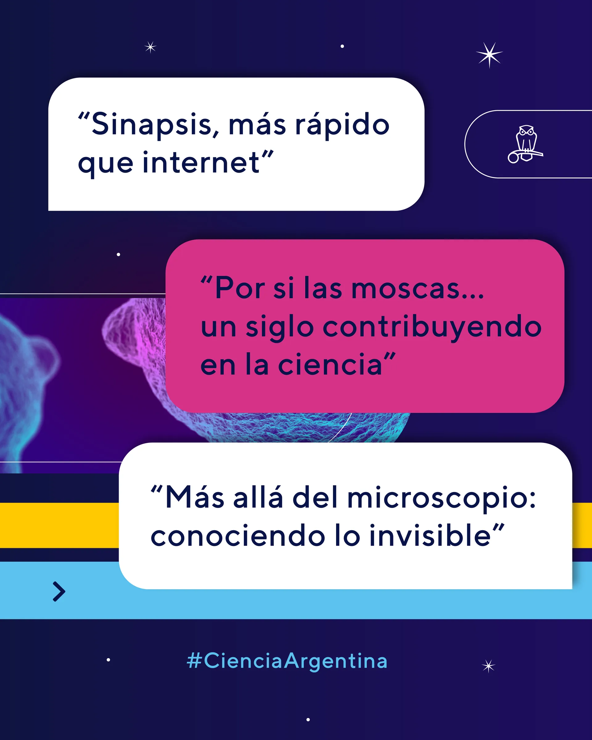 La Noche de los Museos — propuesta 2