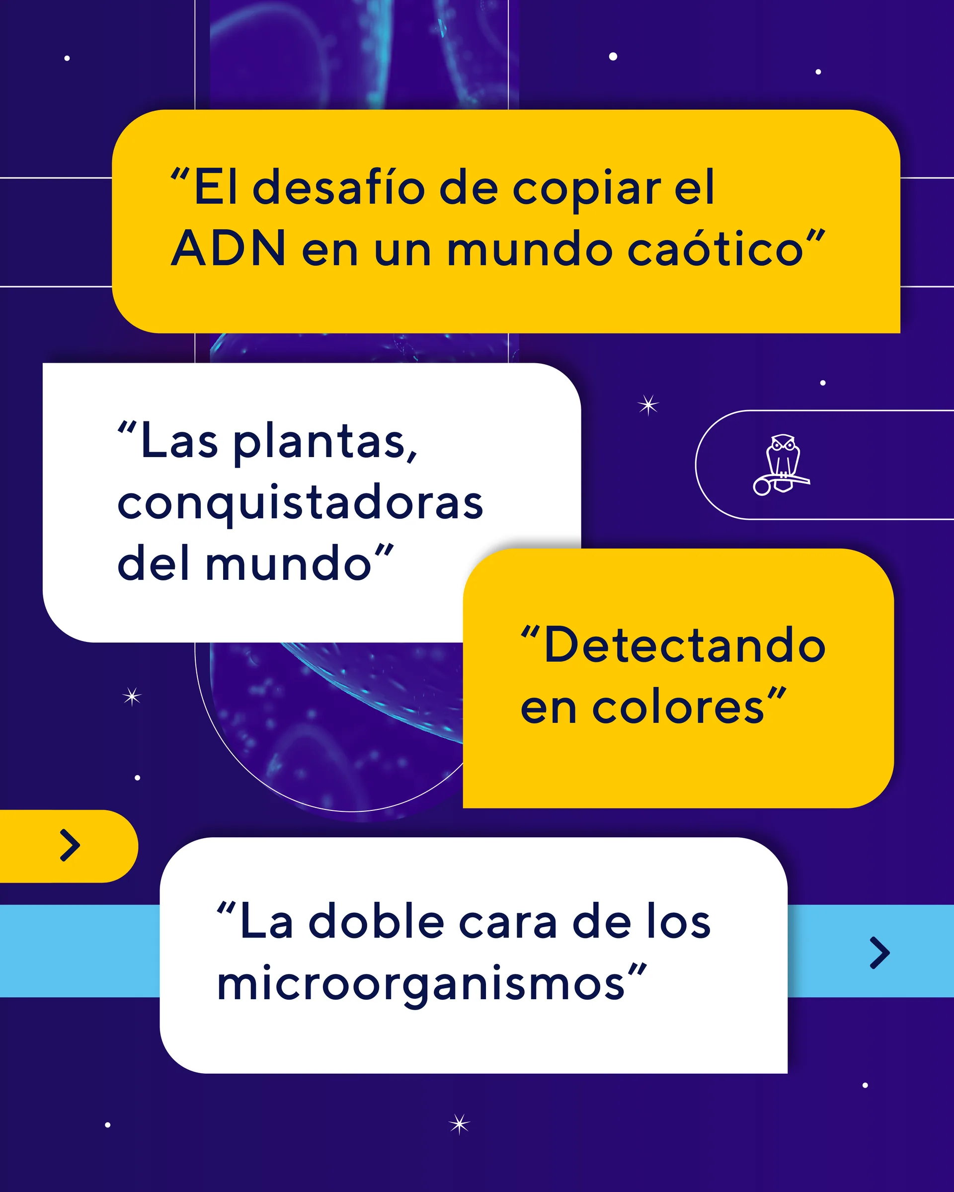 La Noche de los Museos — propuesta 3