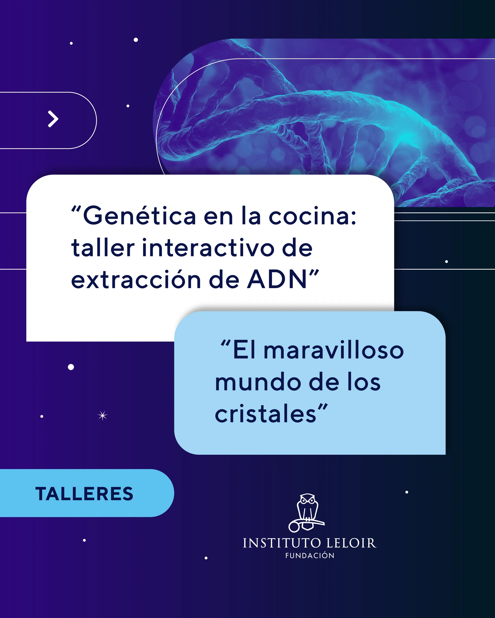 La Noche de los Museos — propuesta 4