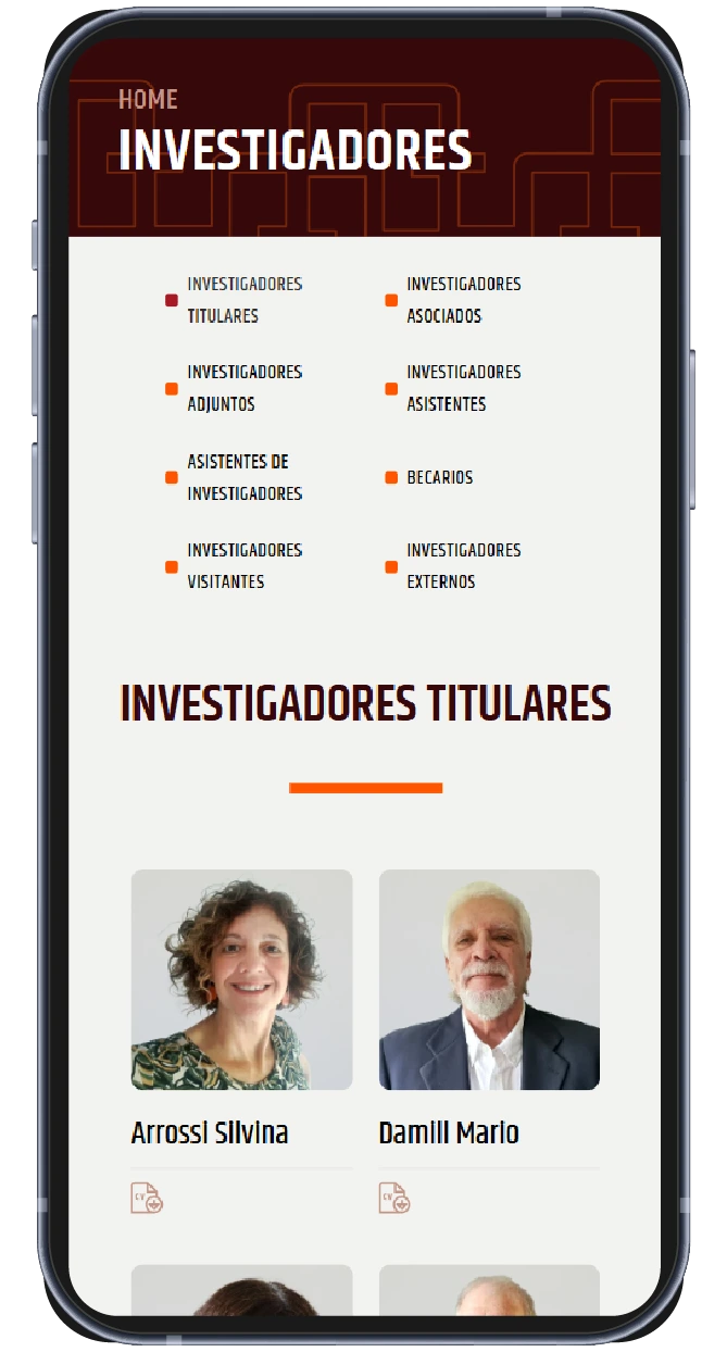 Pieza de redes de CEDES — pieza mobile 11