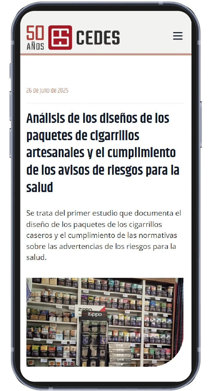 Pieza de redes de CEDES — pieza mobile 12