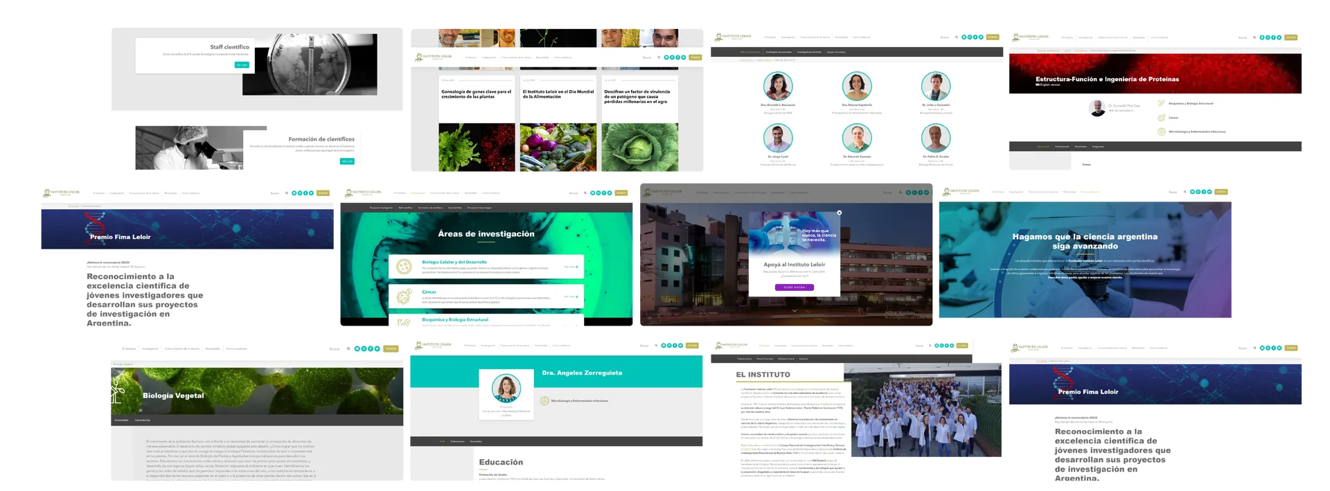 Collage web de Fundación Leloir.